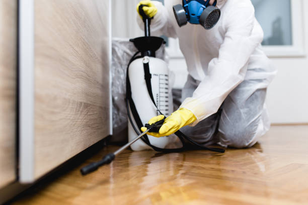 Best Residential Pest Control  in Hebron, OH