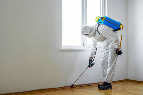 Best Exterminator Services  in Hebron, OH