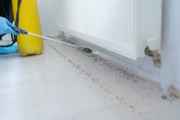 Best Pest Control Near Me  in Hebron, OH